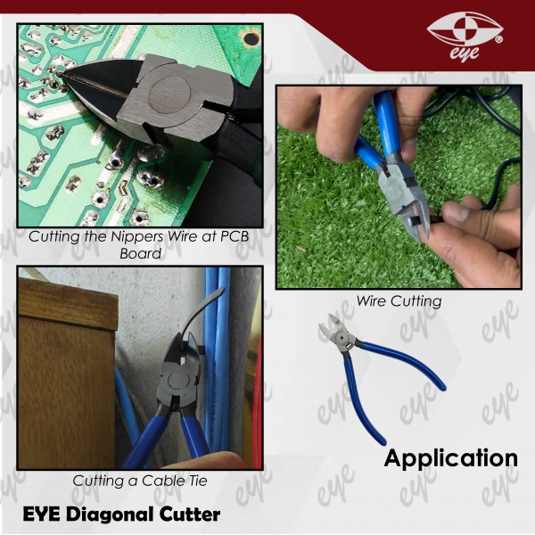 08ees0006_wesite_3-01