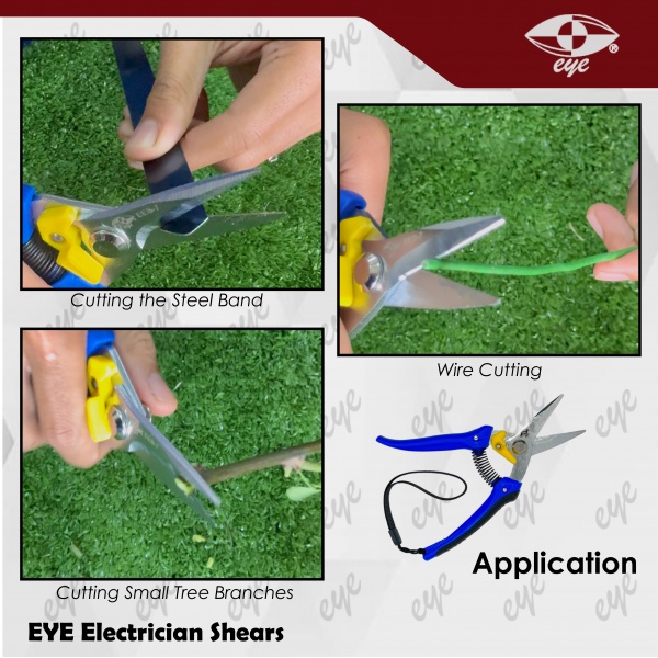 08ees0007_website-05